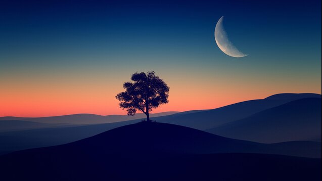 4k Tree Alone Dark Evening Desktop Wallpaper Wallpaper Download - High  Resolution 4K Wallpaper