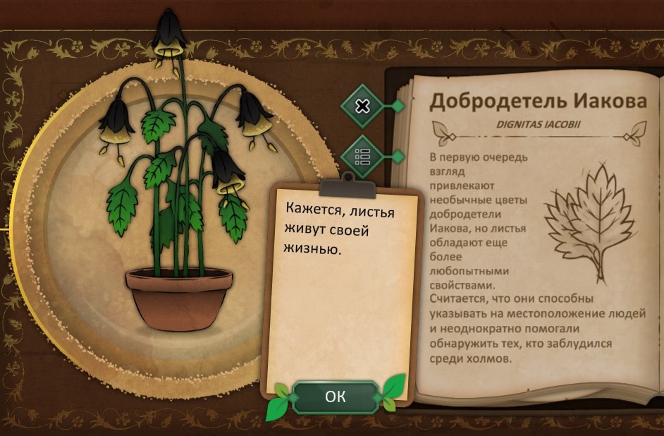 Strange Horticulture Guide 10 image 24