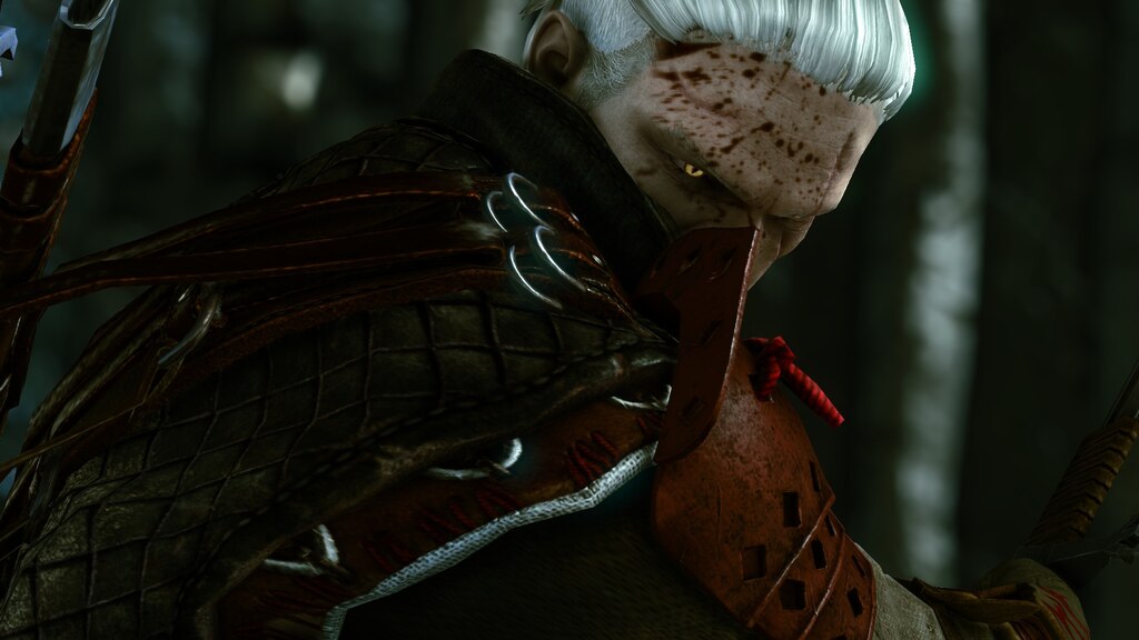 Steam 上的The Witcher 2: Assassins of Kings Enhanced Edition