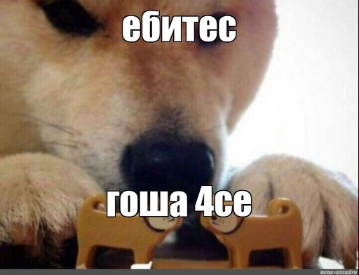 Мем собака с двумя игрушечными собаками Мем собака с двумя игрушечными собаками