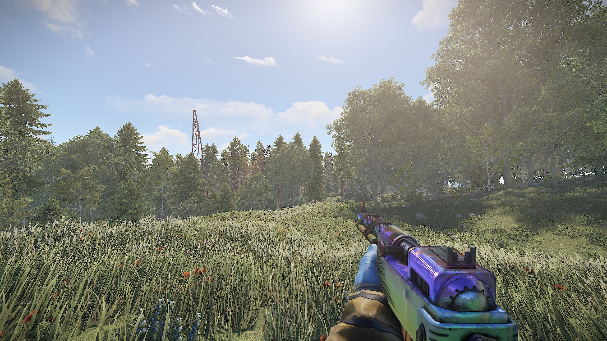 Glister SAR thumbnail 9