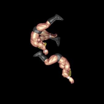 Steam Workshop::その場飛び雪崩式フランケンシュタイナー / High Jump Top Rope Huracanrana