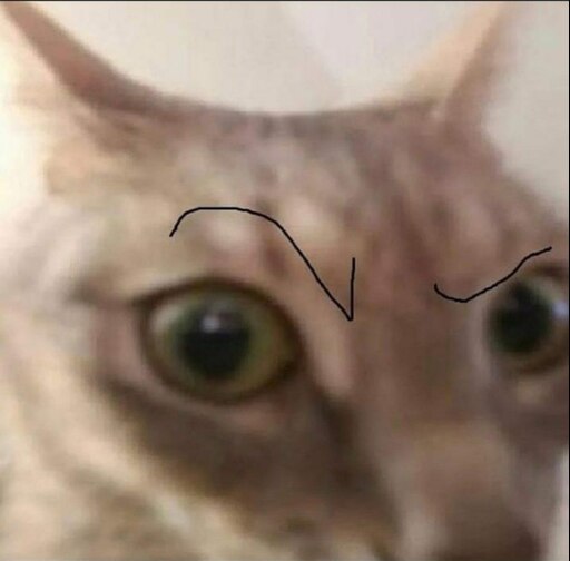 Кот с закрытыми глазами мем Кот с закрытыми глазами мем