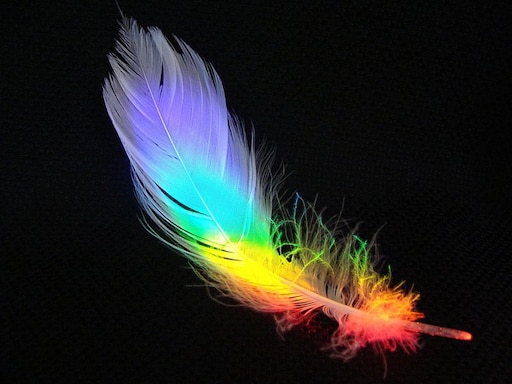 Радужные перья фото Радужные перья фото