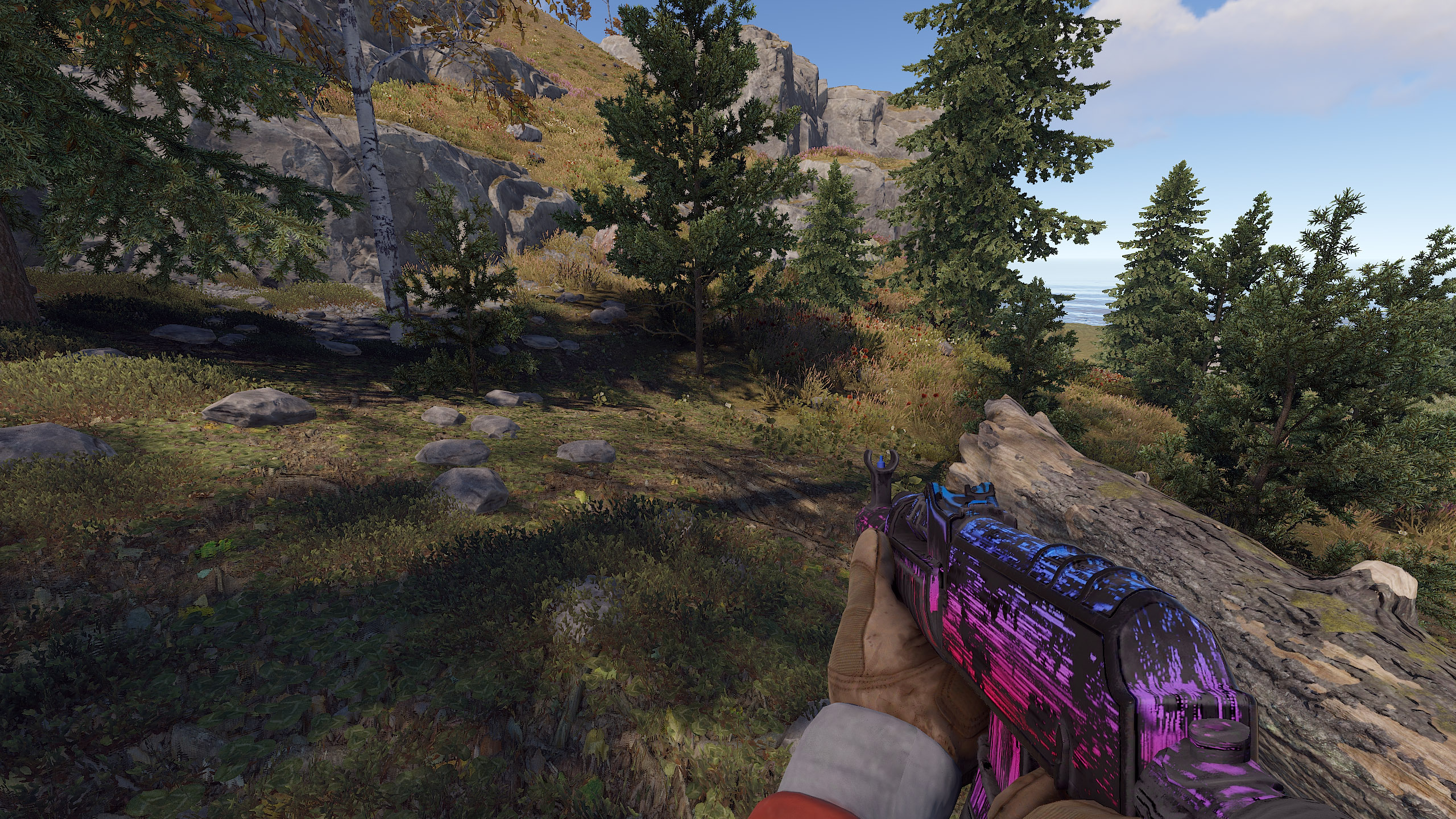 Velocity AR thumbnail 4
