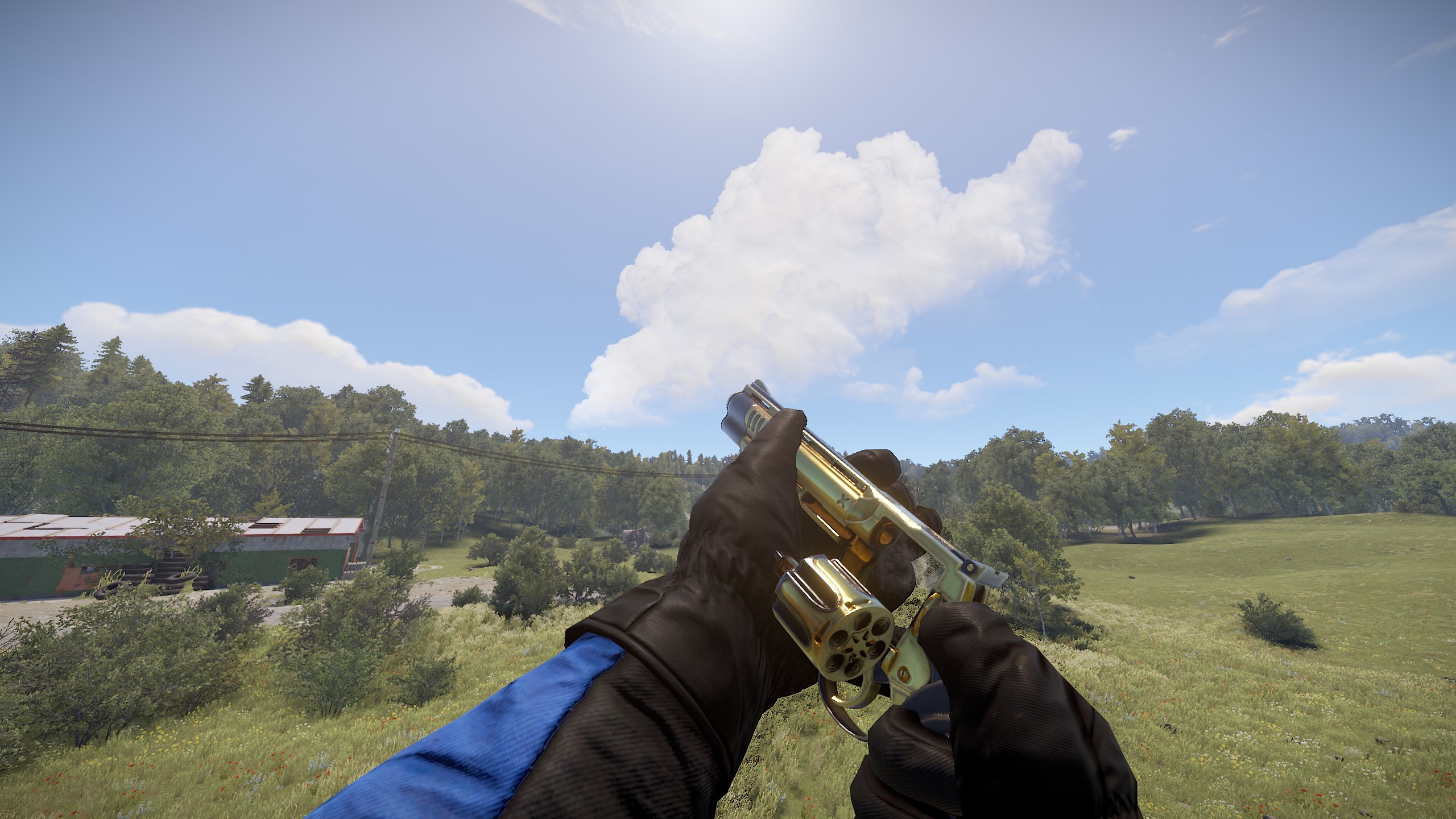 Black Gold Python thumbnail 3
