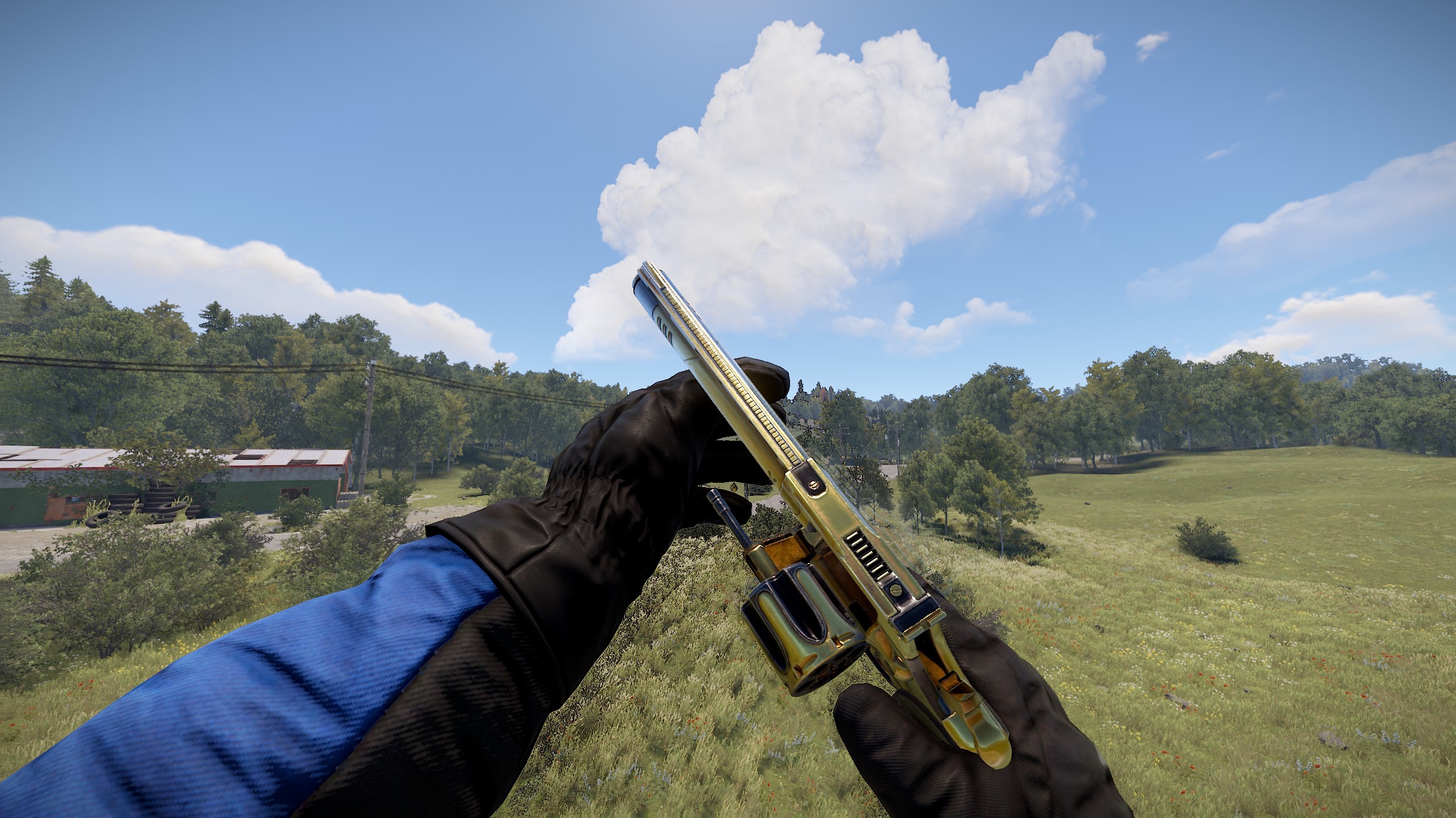 Black Gold Python thumbnail 4