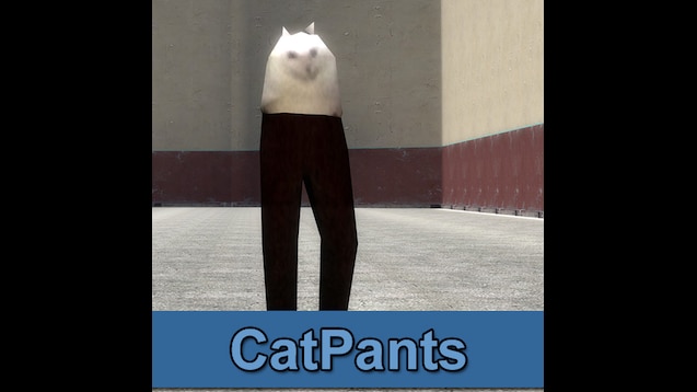 Cat Pants