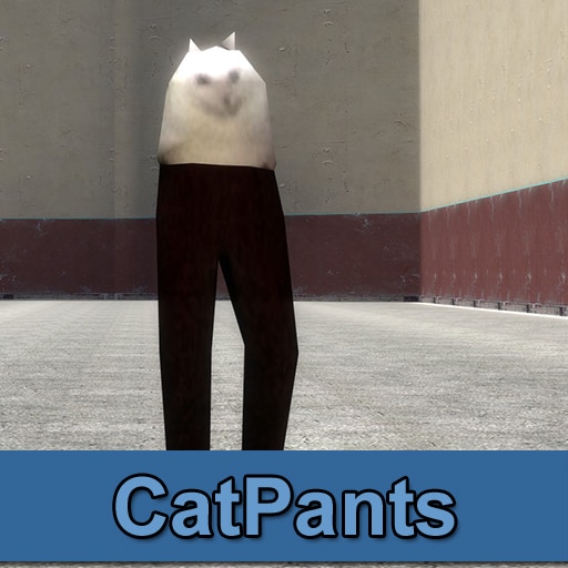 Cat sale wif pants