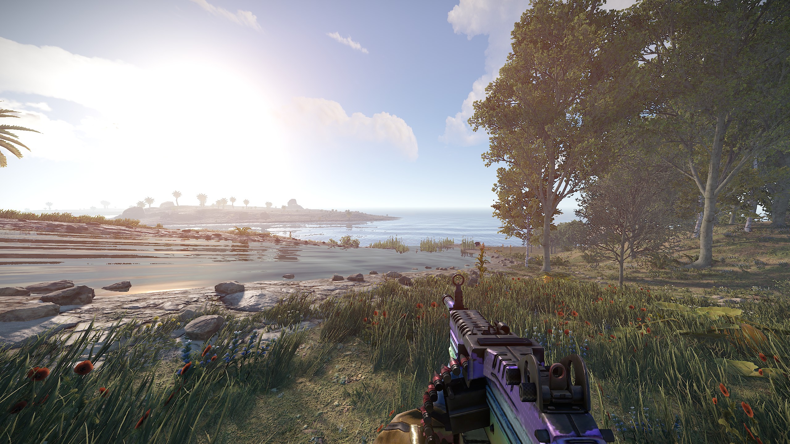 Glister M249 thumbnail 6