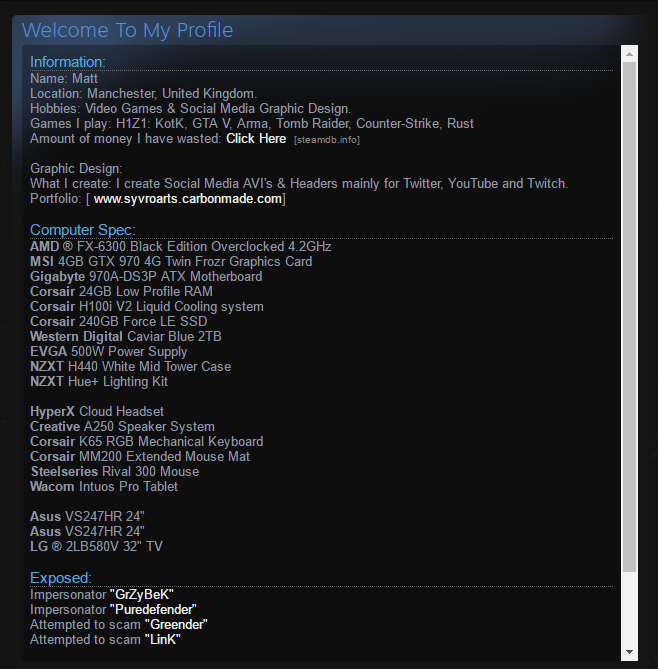 Steam Community Guide How To Make A Good Looking Steam Profile