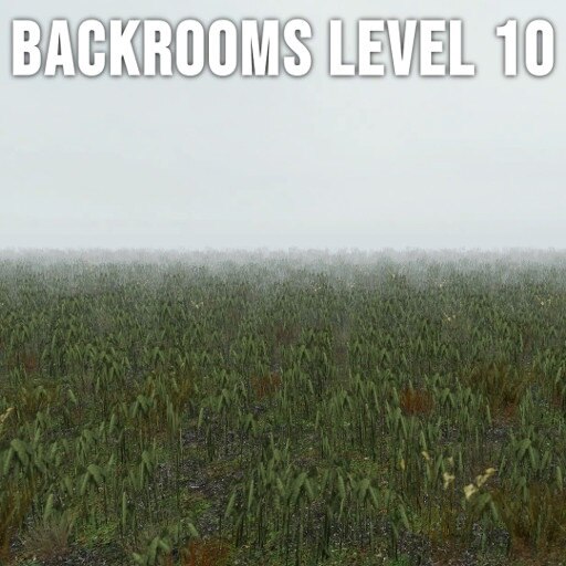 level 10 field of wheat : r/backrooms