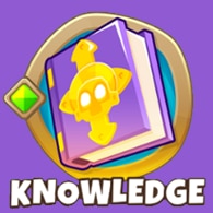 Towers - BLOONS KNOWLEDGE