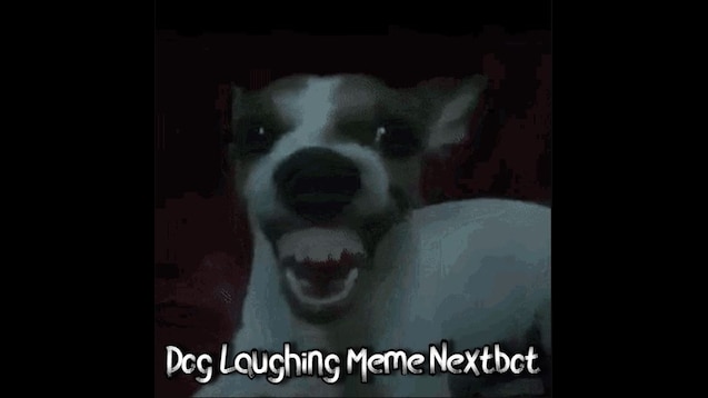 dog laughing meme