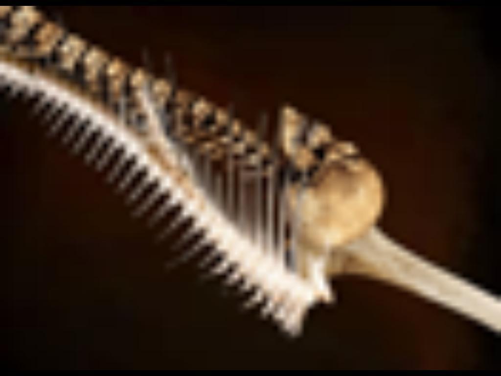 Workshop Image