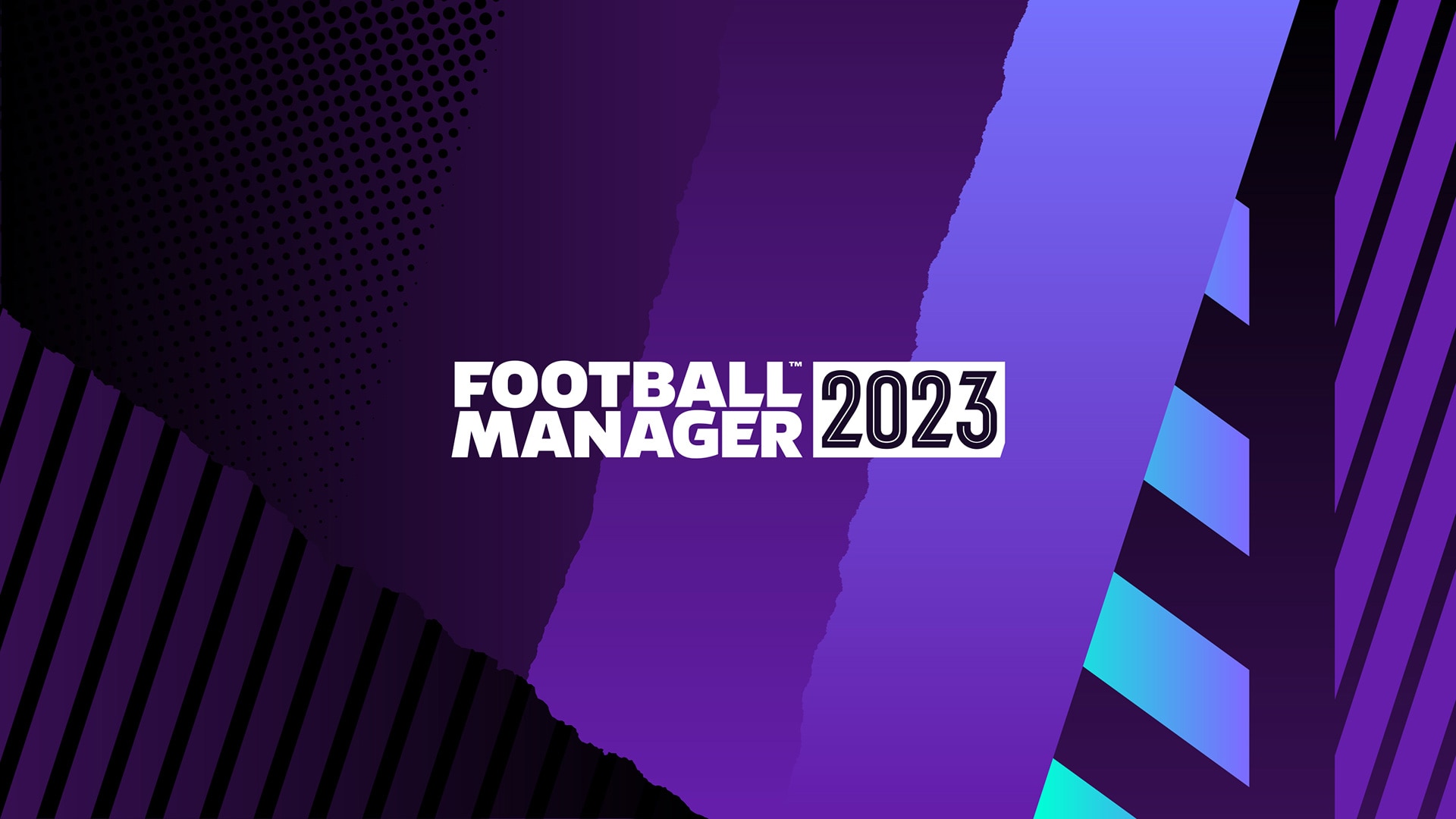 Football Manager 2023 Steam Original Online + Megapack (Taticamente)
