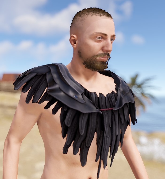 Raven Poncho screenshot 1