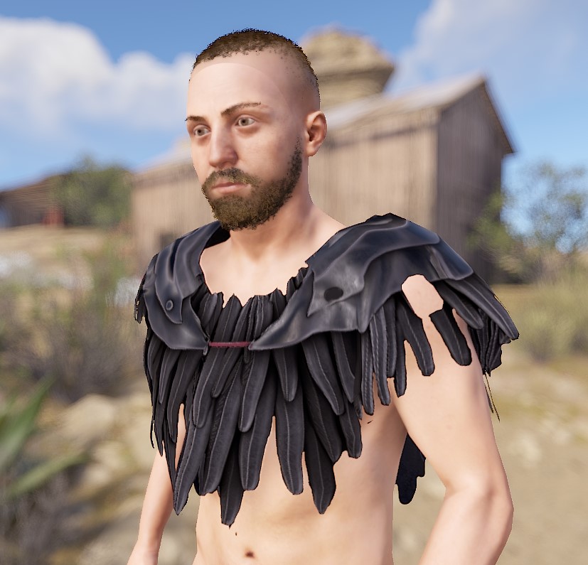 Raven Poncho thumbnail 2