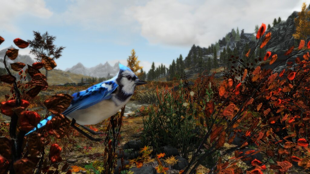 Steam Community Screenshot Birds Of Skybirds Mod In Skyrim Se