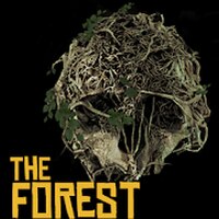 Долгожданный патч The Forest 1.0 – что нового?