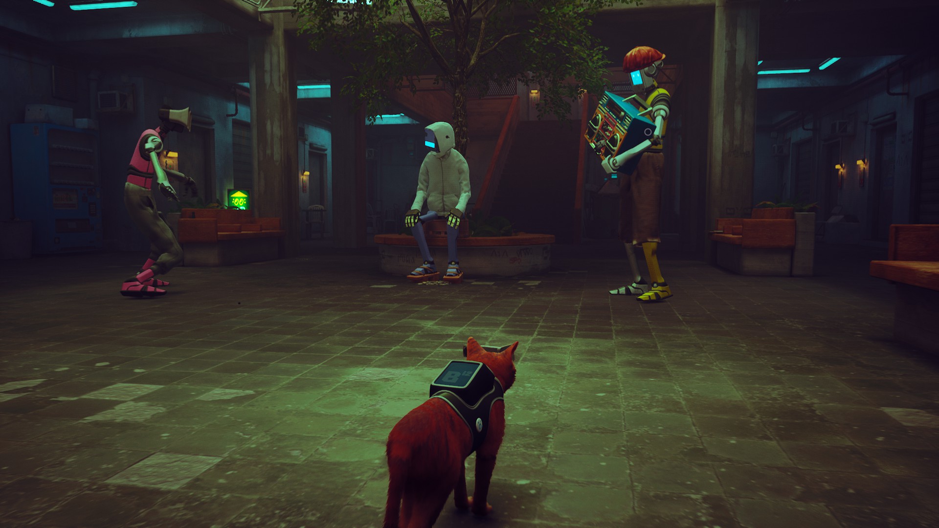 ��� ������� ������� ������? | Stray