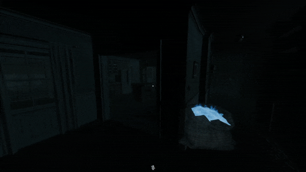 / How to catch ghost image 12