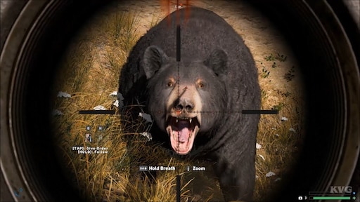 Steam Community :: Guide :: Как найти чёрного медведя?