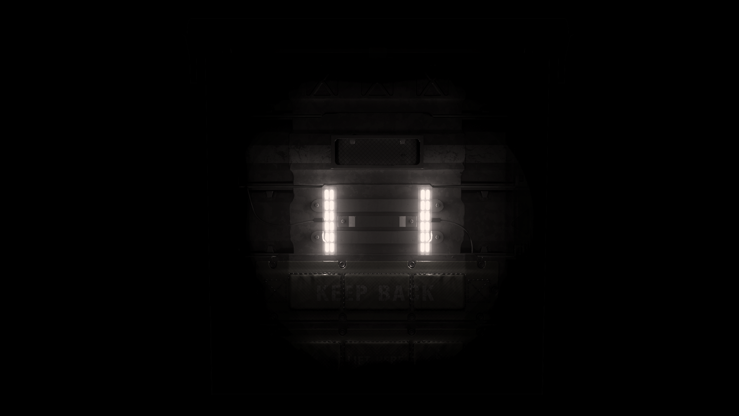 Reinforced Garage Door thumbnail 4