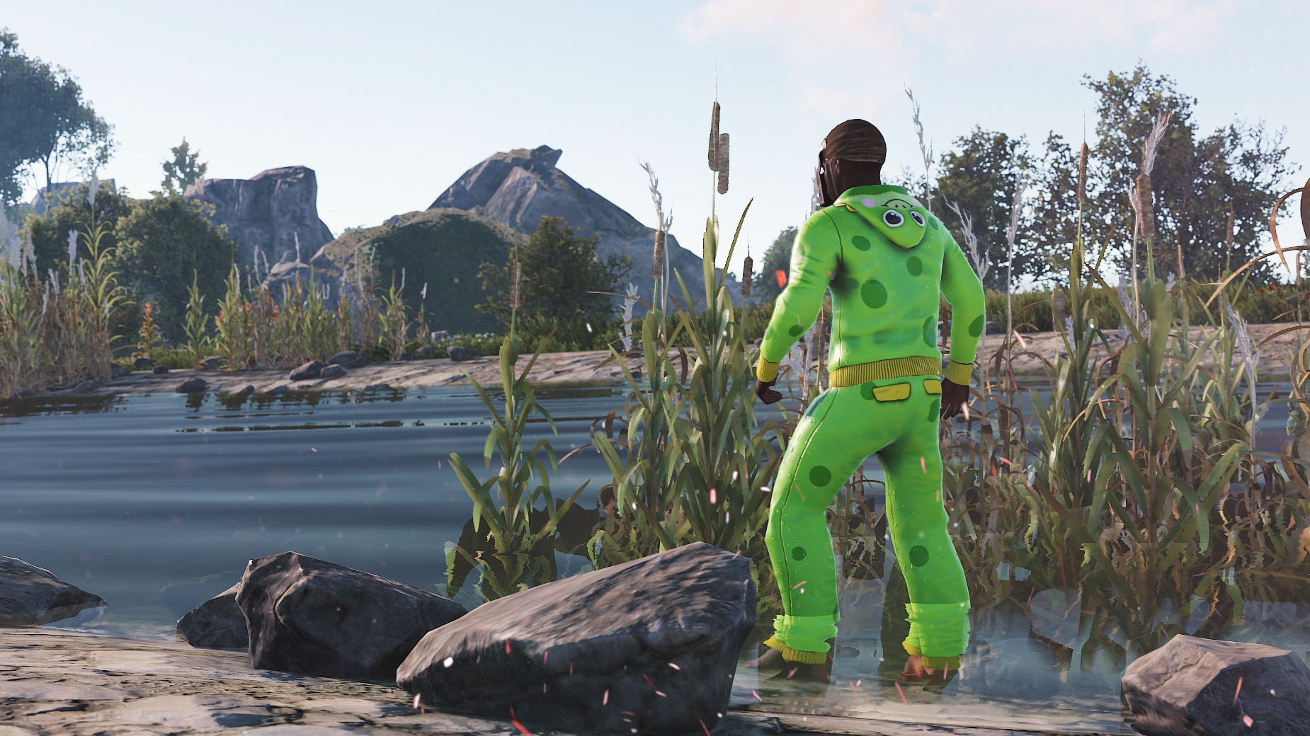 Frog Cosplay Hoodie thumbnail 4