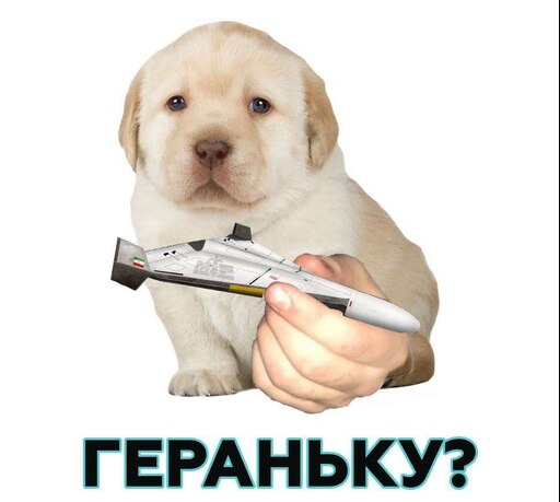 Мем собака держит собак Мем собака держит собак