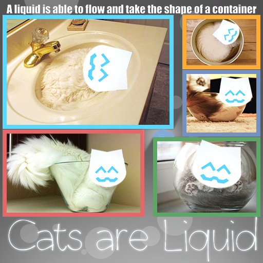 Cats are Liquid — hi . draws angst of a cat game image description
