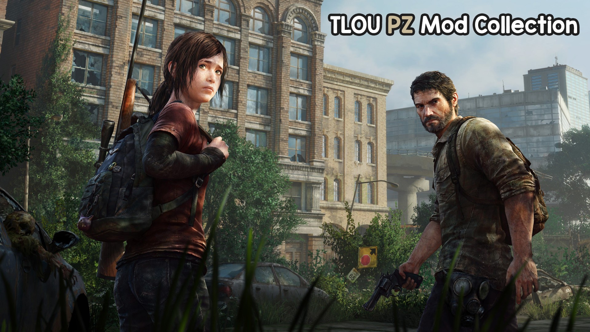 What kind of mods would you want to see in Tlou pc version? : r