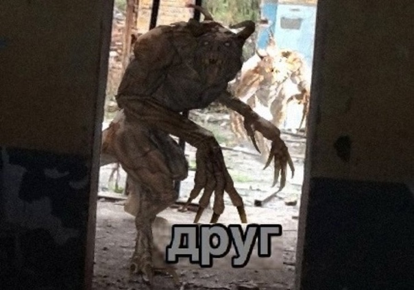 У куки новый друг мем РЕАКЦИЯ ДЕТЕЙ НА КУКИ :) YouTube