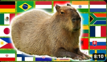 Capybara, Expanded Minecraft Wiki