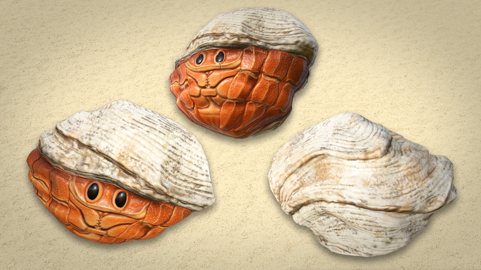 Hermit Crab Rock screenshot 1