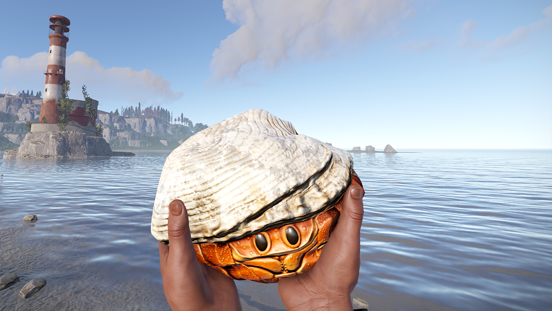 Hermit Crab Rock thumbnail 2