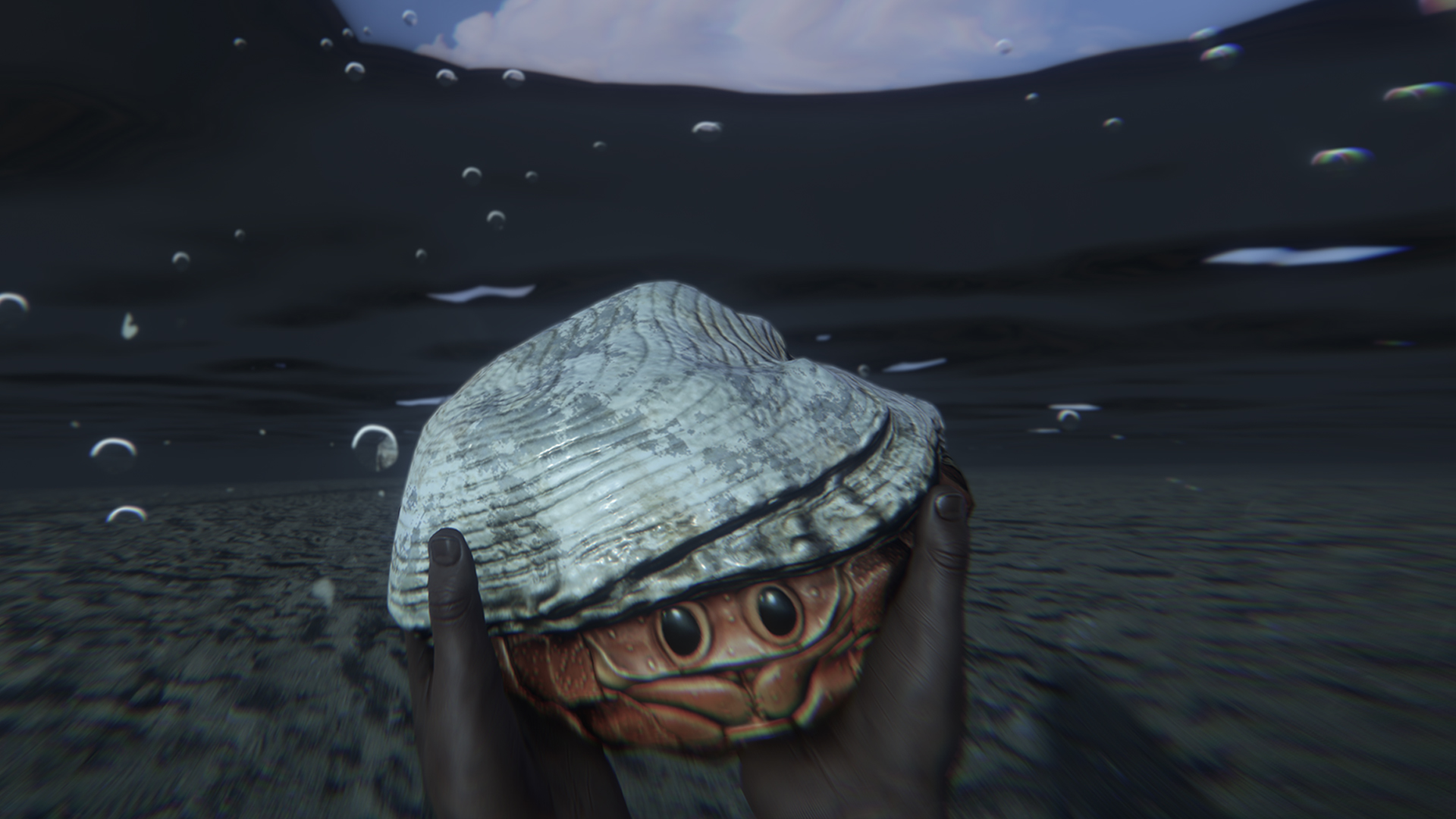 Hermit Crab Rock thumbnail 3