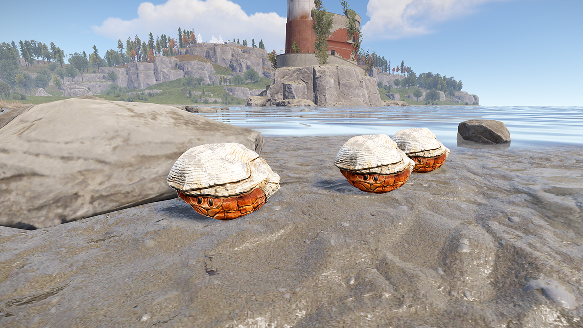 Hermit Crab Rock thumbnail 5