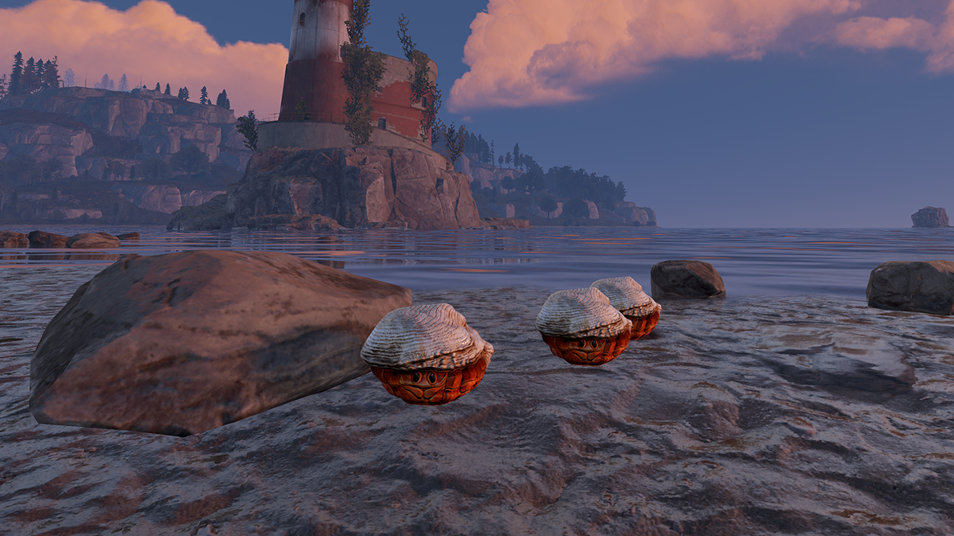 Hermit Crab Rock thumbnail 6