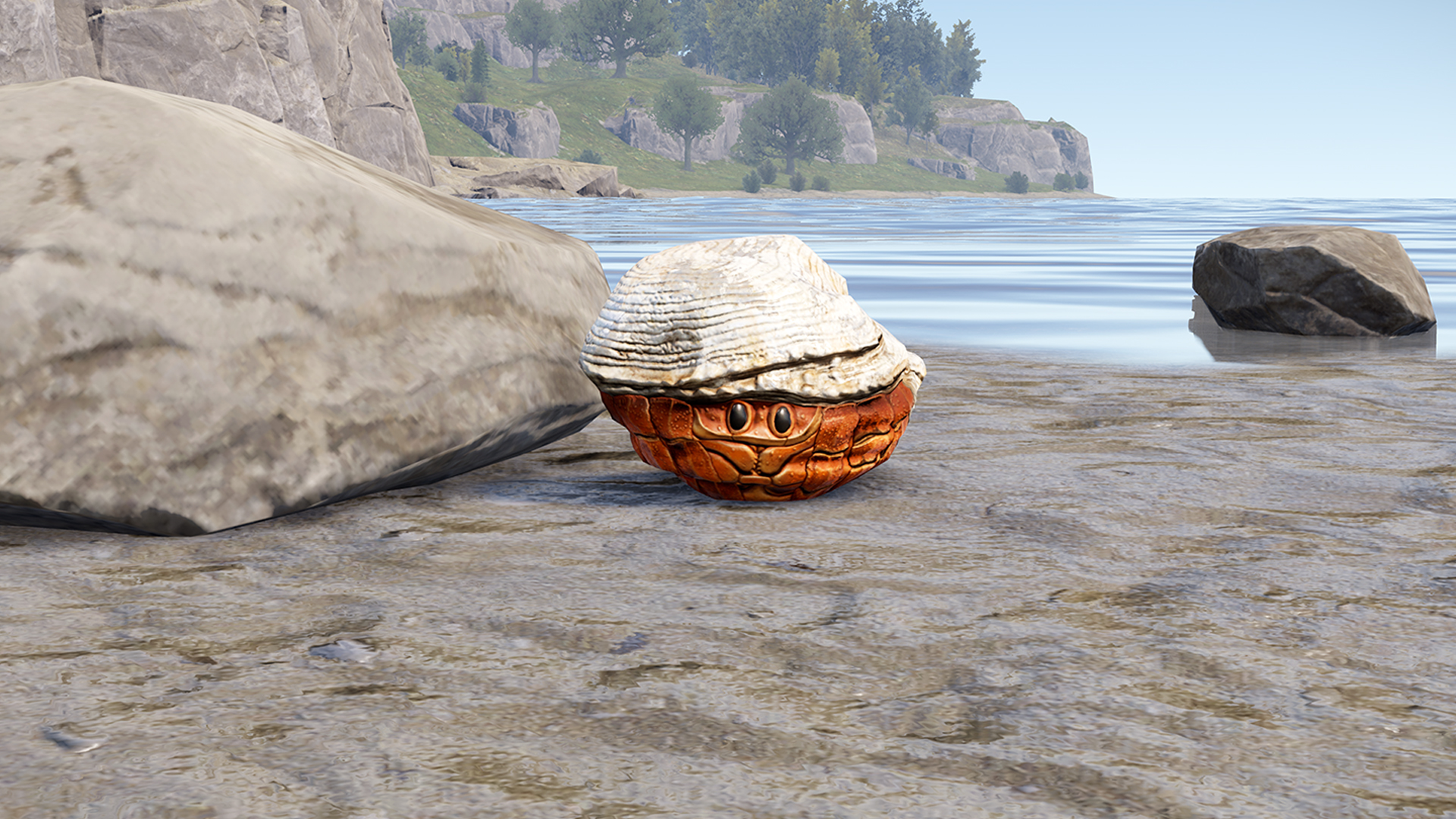 Hermit Crab Rock thumbnail 4