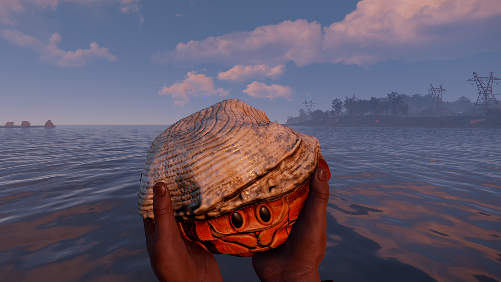 Hermit Crab Rock thumbnail 8