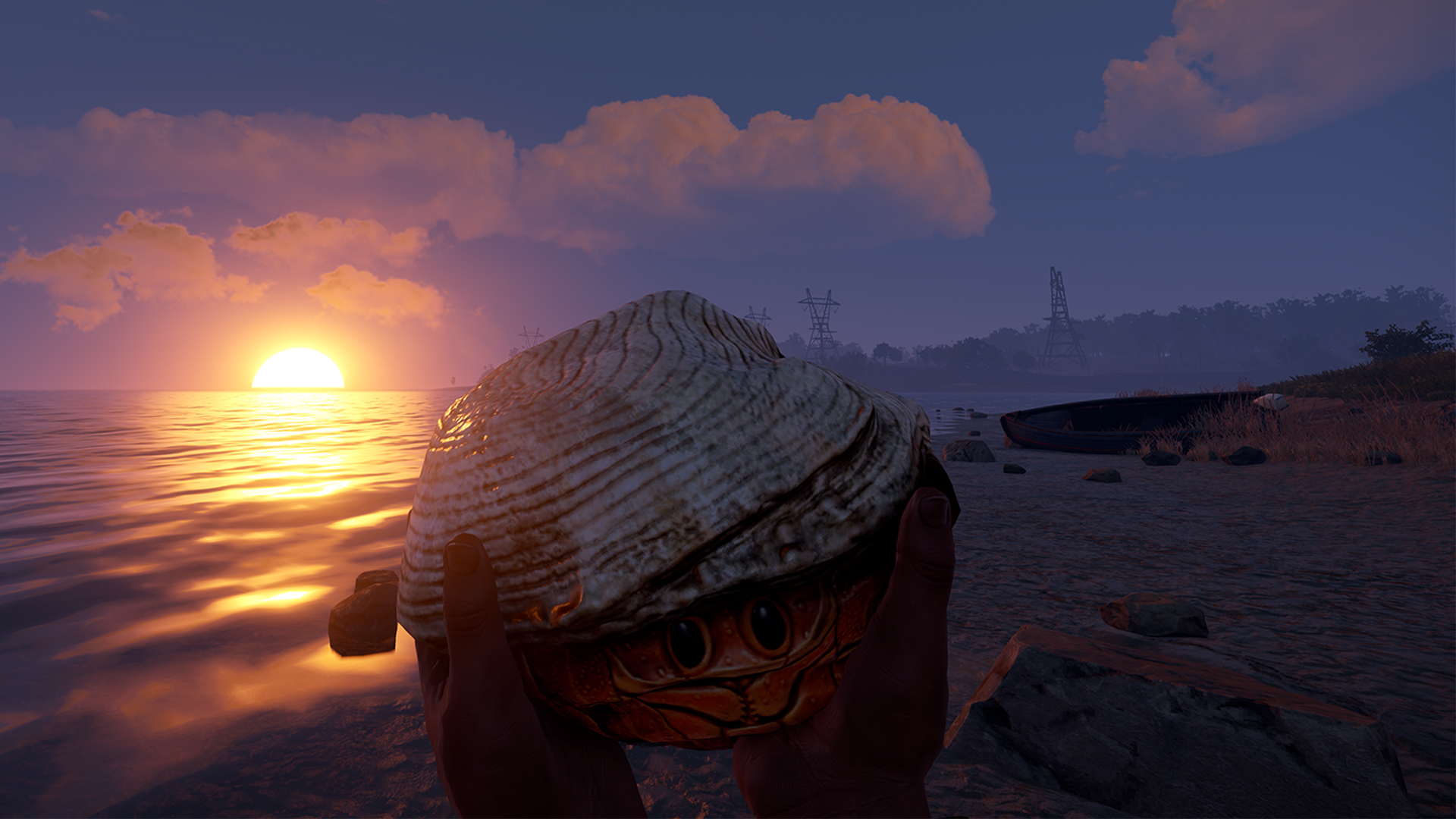Hermit Crab Rock thumbnail 7