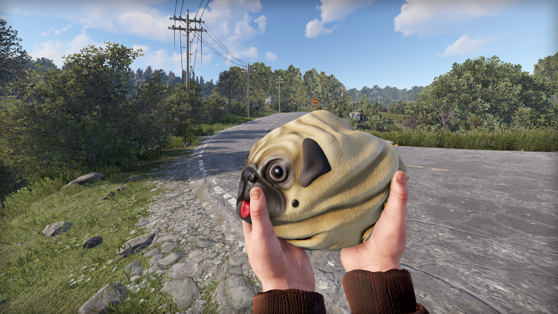 Pug Rock thumbnail 3