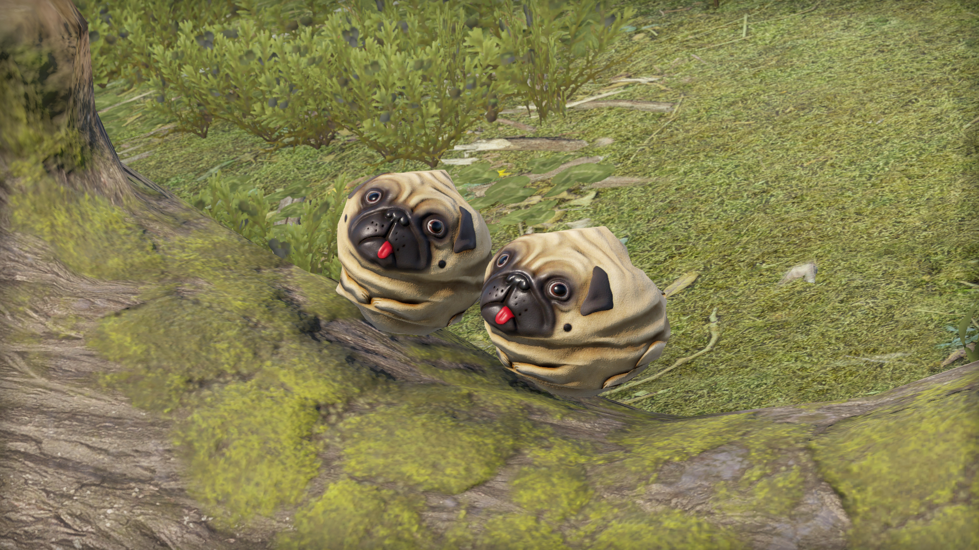 Pug Rock thumbnail 6