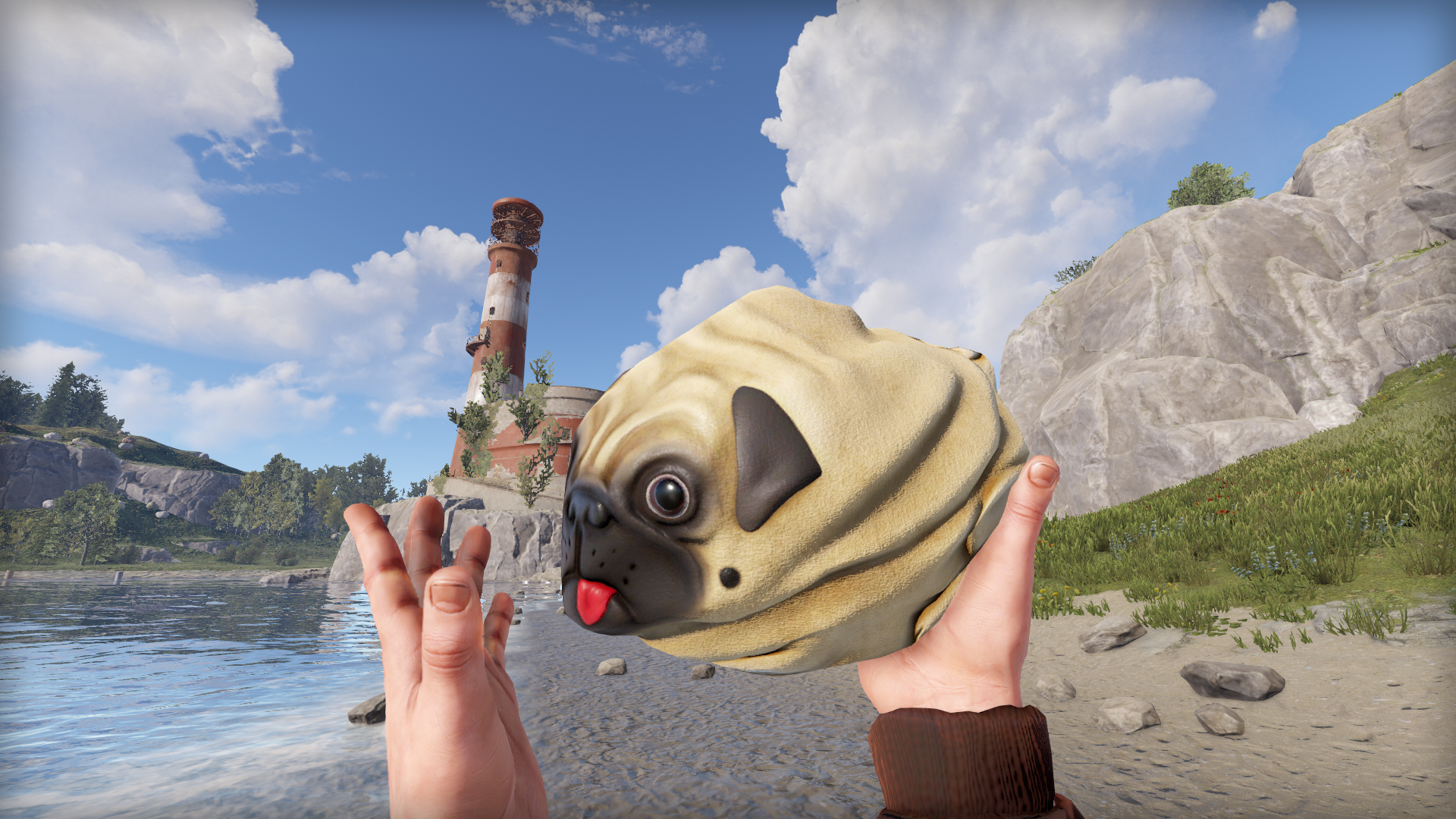 Pug Rock thumbnail 8