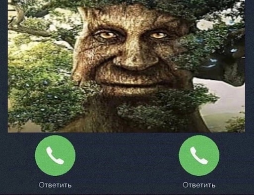 Мудрость на новый год мем Мудрость на новый год мем