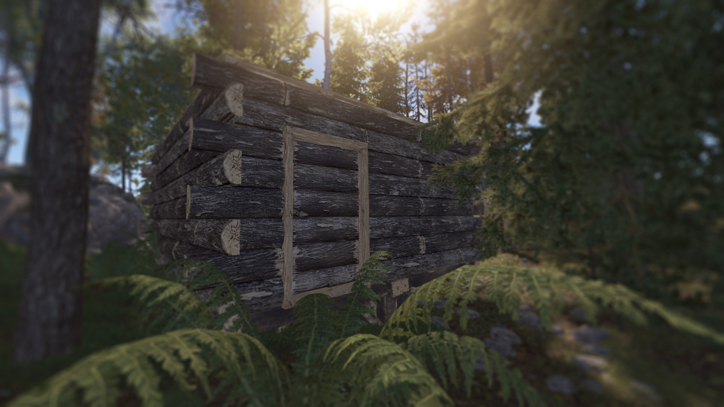 Log Door thumbnail 6