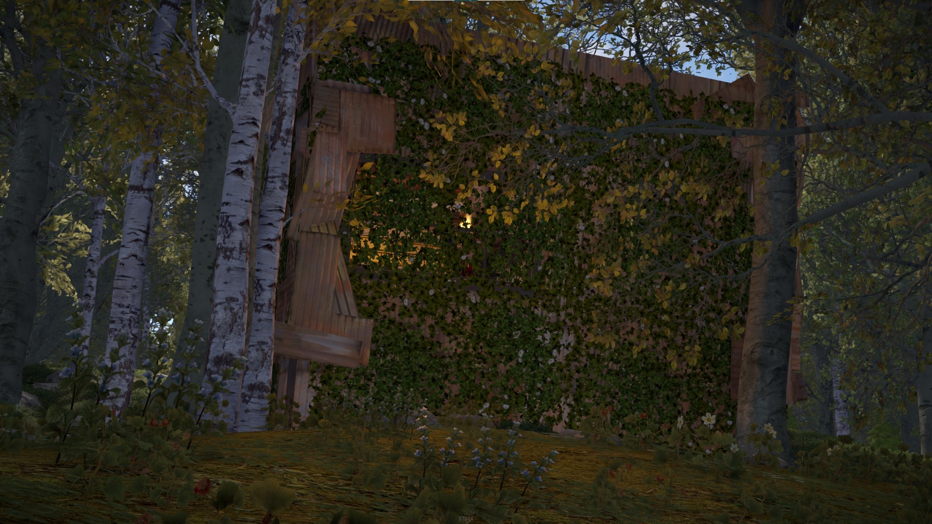 Grass Rug thumbnail 6