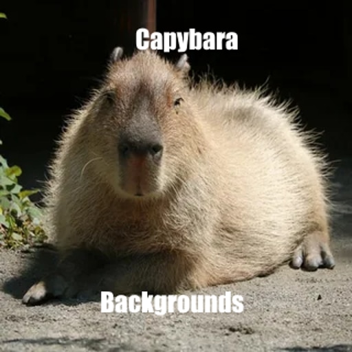 Покажи фото животного капибара Покажи фото животного капибара