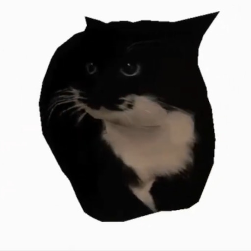 Мем с котом под музыку Мем с котом под музыку